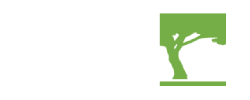 Canopy Landscapes Inc. | Landscaping Services Mississauga, Brampton, Caledon, Oakville, Burlington, Milton and Georgetown.