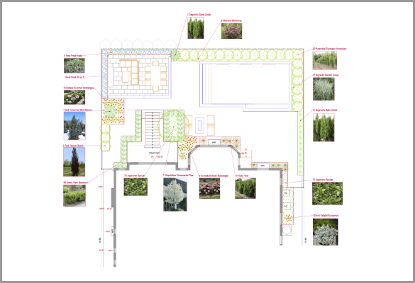 Softscape Planting Plan - Canopy Landscapes Inc. | Mississauga, Brampton, Caledon, Oakville, Burlington, Milton and Georgetown.